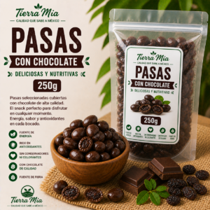 Pasas con chocolate 250g en bowl, uvas pasas cubiertas con chocolate Tierra Mia