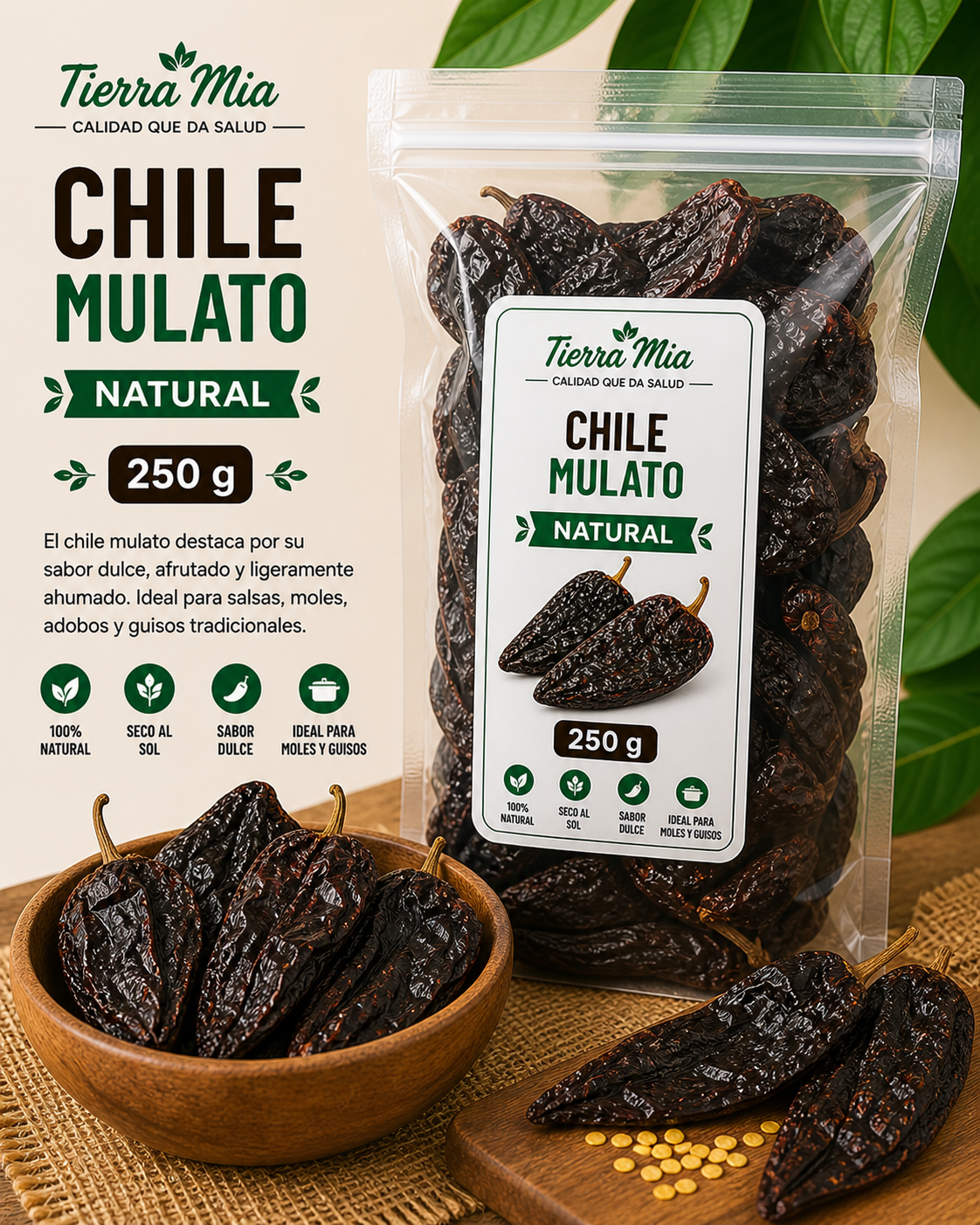 Chile mulato seco 250g en bolsa y bowl, chile seco oscuro ideal para mole Tierra Mia