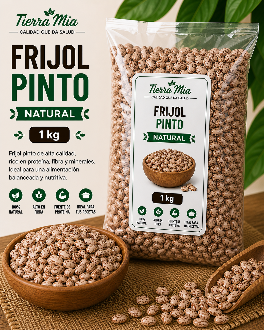 Frijol pinto 1kg en bolsa y bowl, leguminosa natural rica en proteína y fibra Tierra Mia